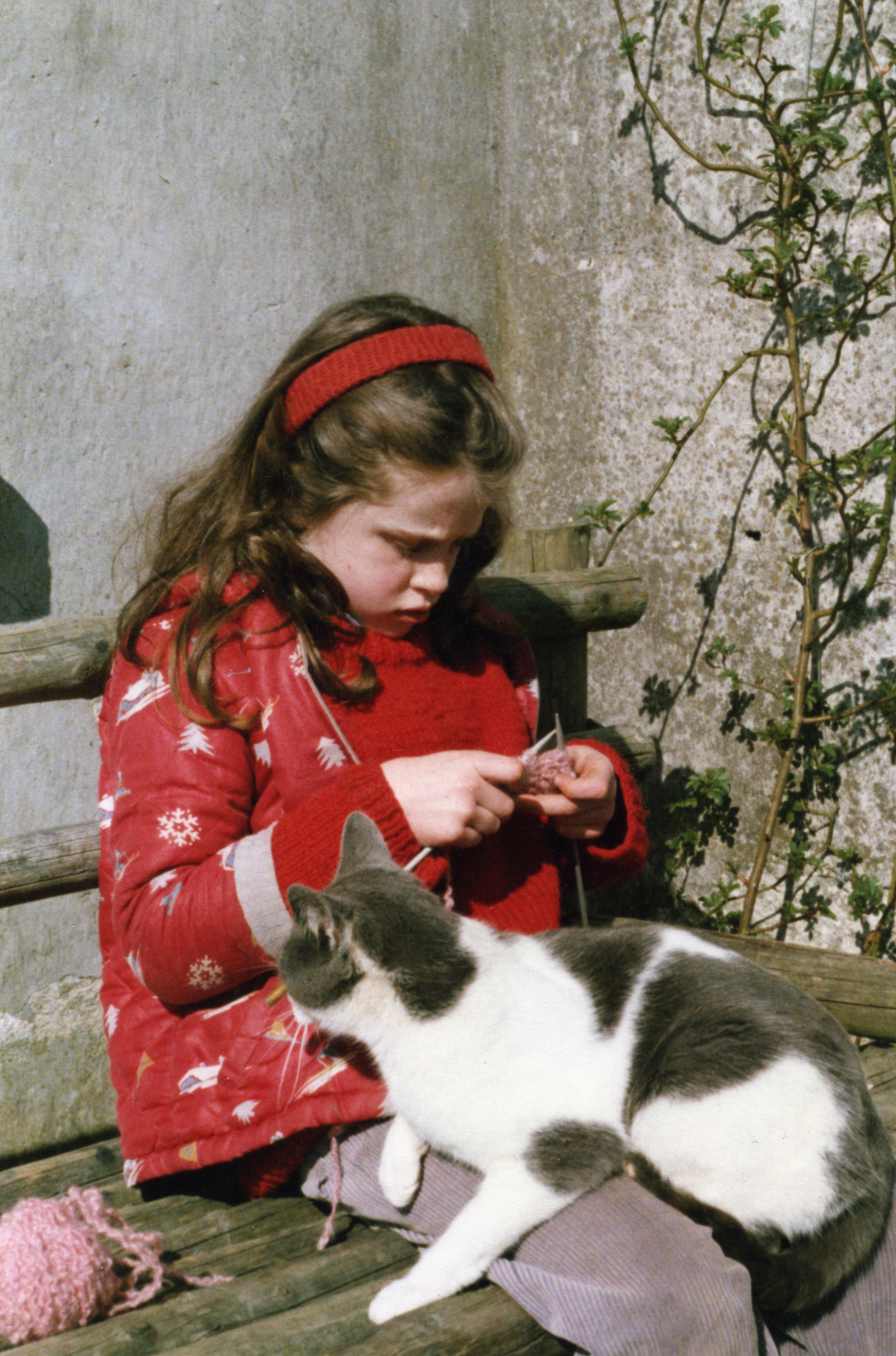 Áine Ryan // knitahedron