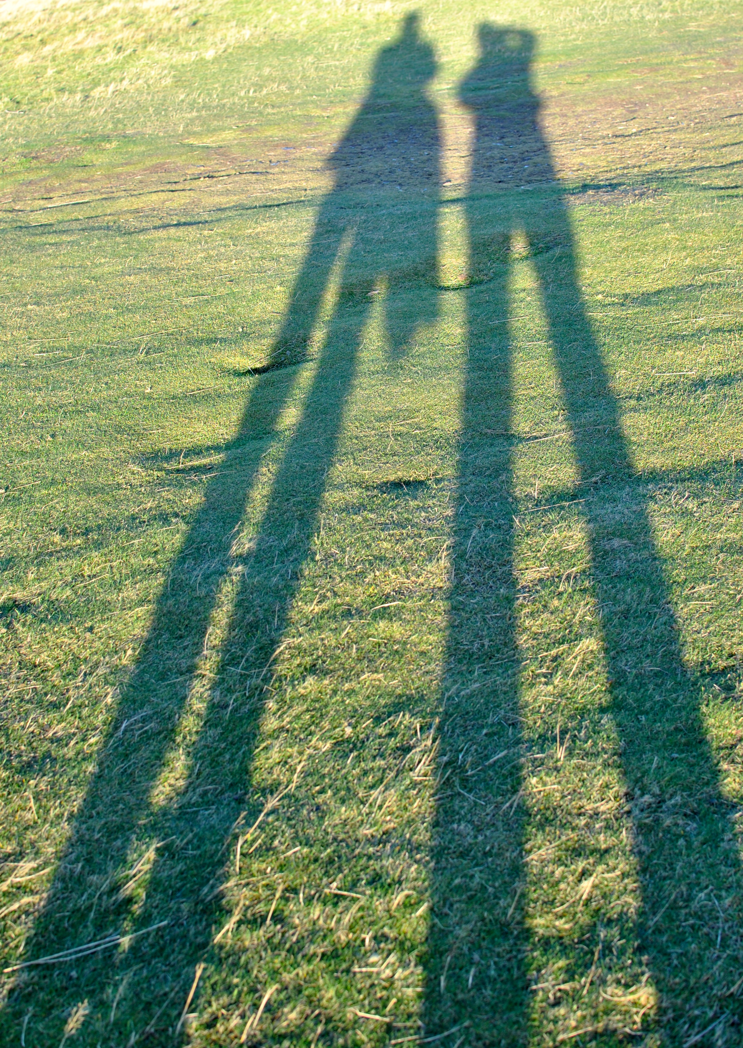 Long December Shadows by Áine Ryan